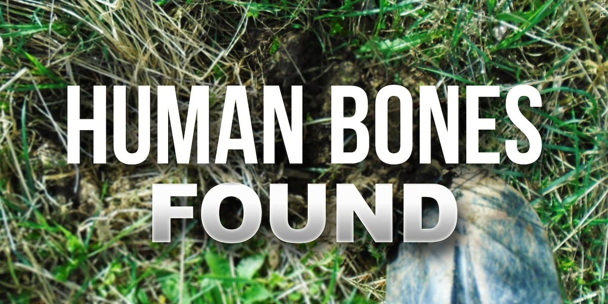 POLICE: Human skeleton remains found near U.S. 17 in Jacksonville