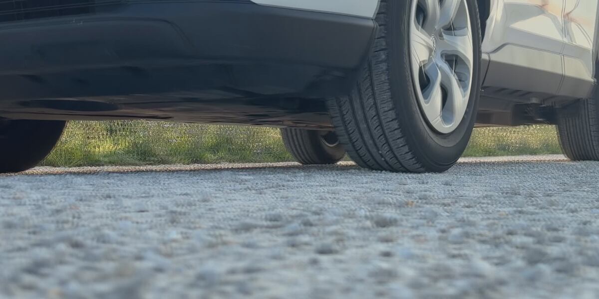 Florida officials urge drivers and pedestrians to share the road this month