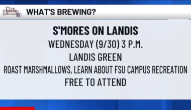What’s Brewing - S’mores on Landis