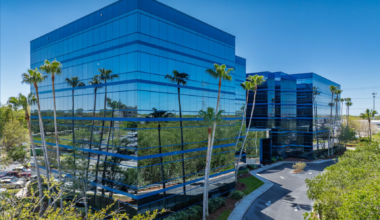 International accounting firm sets up for Pinellas growth