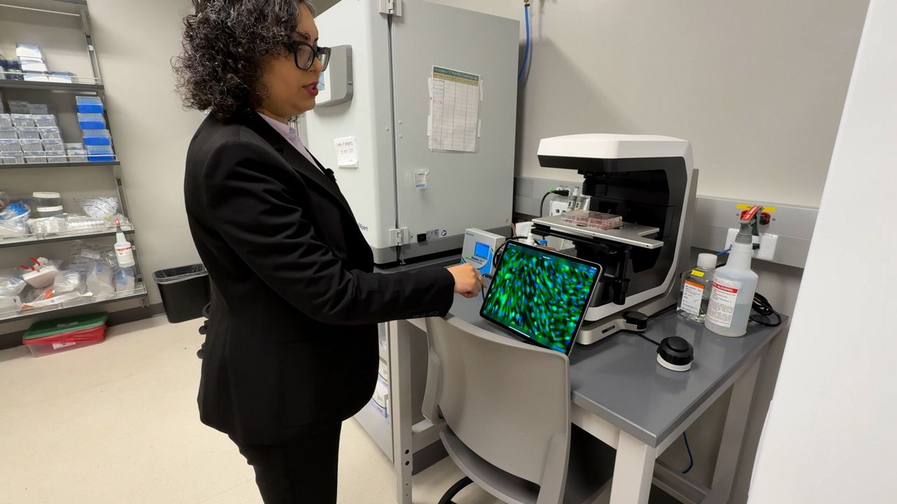 USF heart valve research offers hope for patients