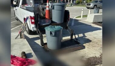 ‘Very purposeful’: Man describes disturbing discovery of dog submerged underwater in Coconut Grove – NBC 6 South Florida
