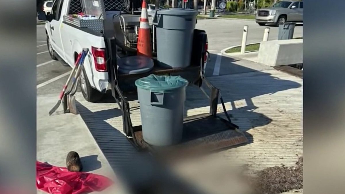 ‘Very purposeful’: Man describes disturbing discovery of dog submerged underwater in Coconut Grove – NBC 6 South Florida
