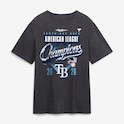Tampa Bay Rays World Series