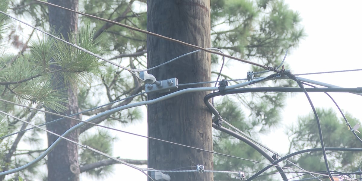 Tallahassee crews work to restore power after Hurricane Isaias