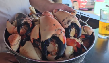 Florida stone crab season opens Thursday