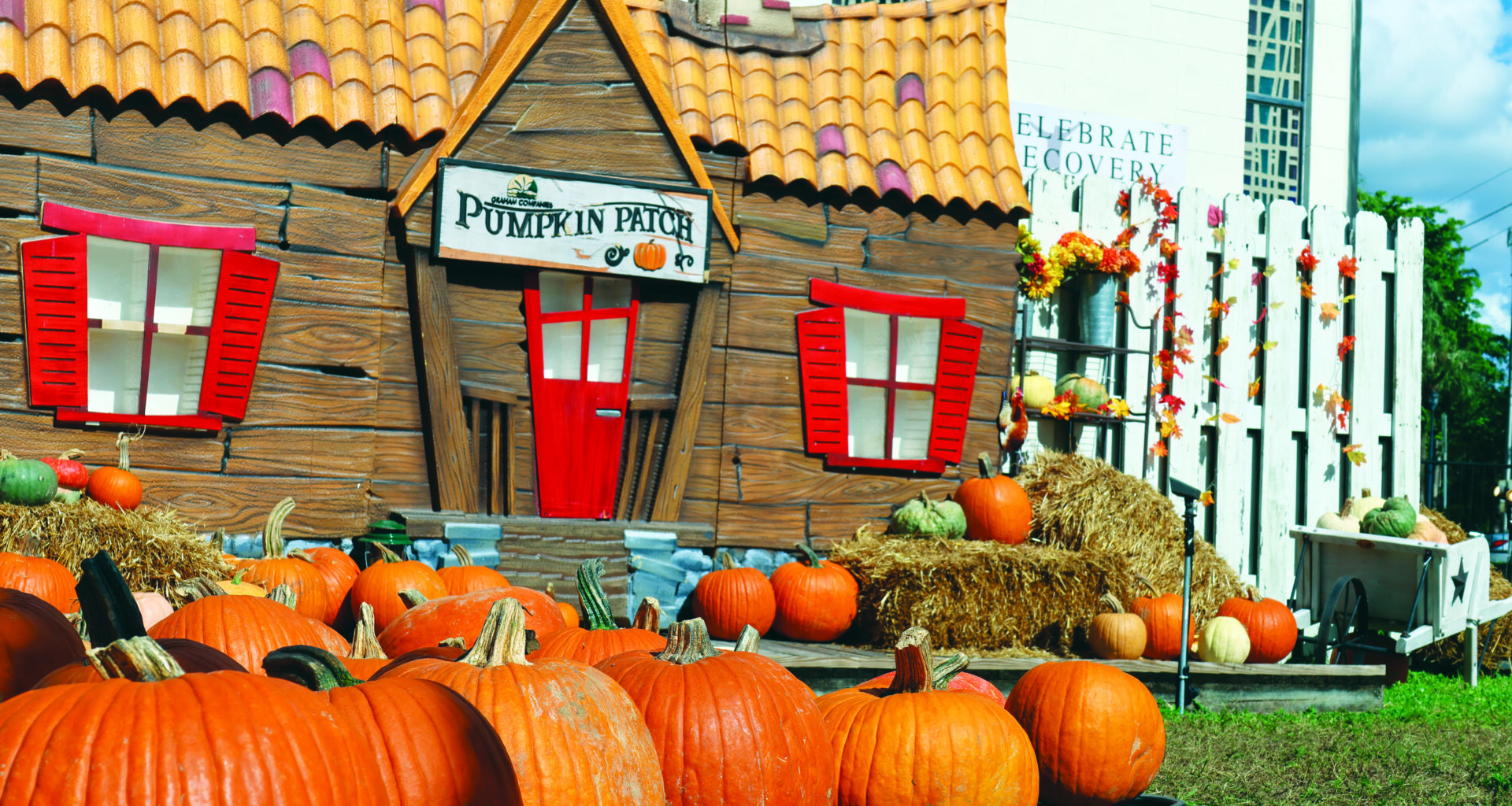 Prime pickings at the pumpkin patch