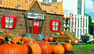 Prime pickings at the pumpkin patch