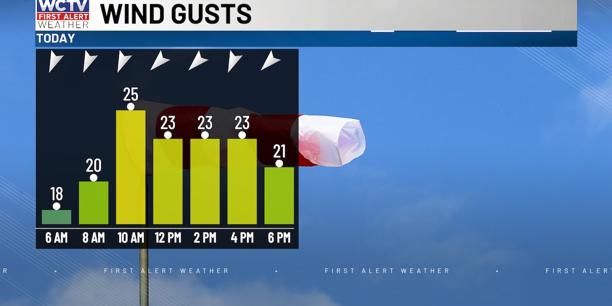 Staying breezy through the end of your weekend for Tallahassee, the Big Bend and South Georgia