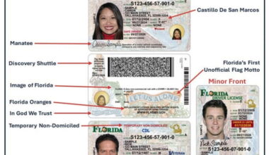 Tax Collector announces new driver license, ID card design