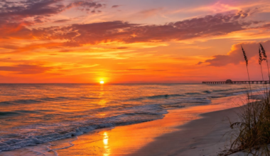 Florida’s weather is about to make a dramatic change, and you’ll feel it