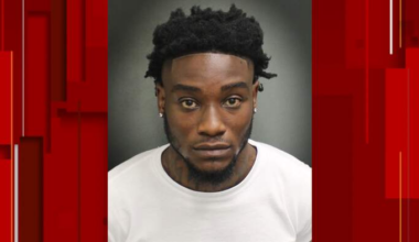 Driver caught pointing gun at Disney bus in Orange County, deputies say