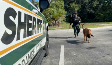 Orlando nonprofit helps in the search for missing people