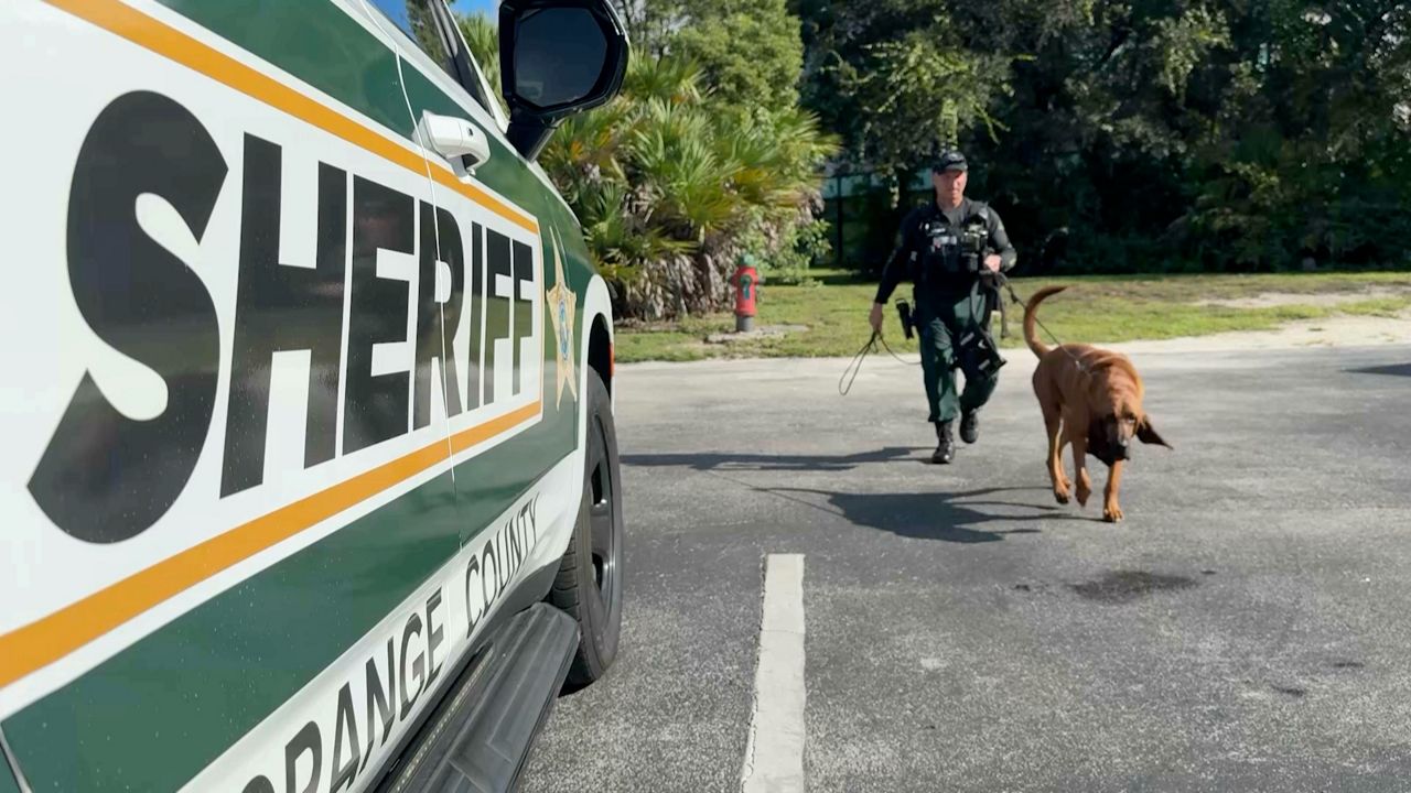 Orlando nonprofit helps in the search for missing people