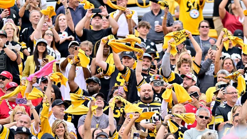 Steelers fans