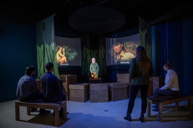 "Becoming Jane: The Evolution of Dr. Jane Goodall" immersive exhibit opens Friday at South Florida PBS in Boynton Beach. (Rebecca Hale/Courtesy)