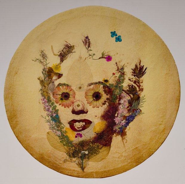 West Palm Beach artist Bruce Helander's Marilyn Monroe flower portrait is on display in "In Full Bloom: Flowers in the Garden" at Ann Norton Sculpture Gardens. (Bruce Helander/Courtesy)