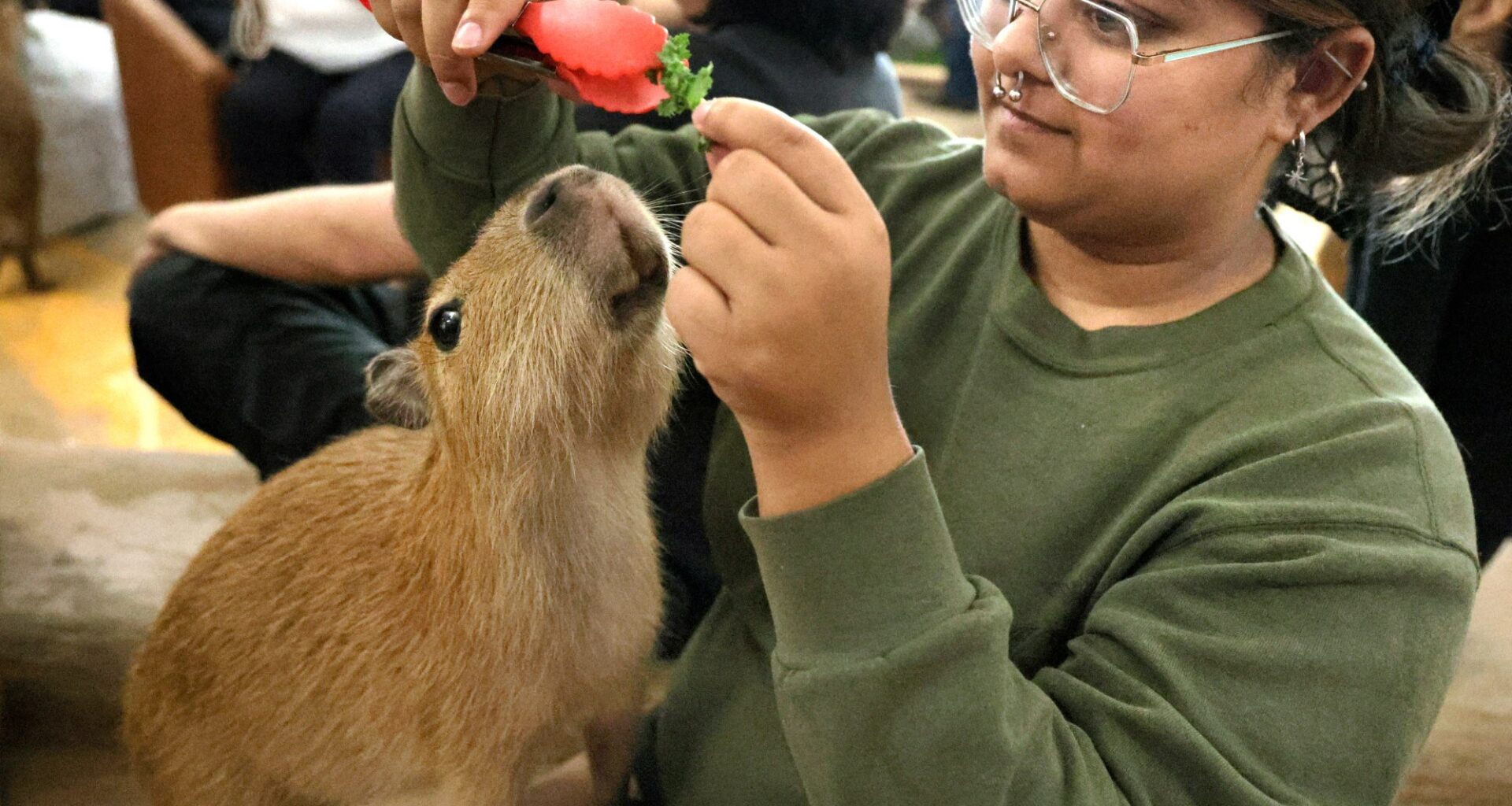 Letters: Capybaras don’t belong in cafes | Botched execution teaches a lesson