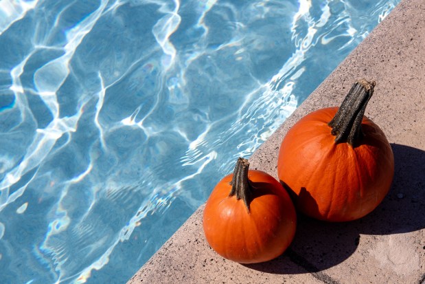 Cool off at The Great Pumpkin Splash at the Caporella Aquatic Center in Tamarac on Oct. 17. (City of Tamarac/Courtesy)