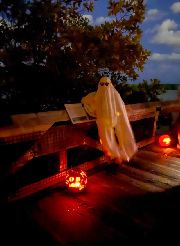 Stroll among the carved pumpkins during the Pumpkin Stroll & Moonlight Concert Oct. 24 at John D. MacArthur Beach State Park in North Palm Beach. (Kari Barnett/South Florida Sun Sentinel)