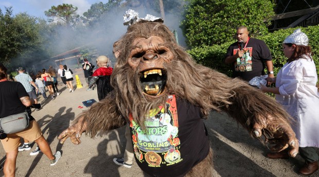 Skunk Ape emerges from the swamp at Gatorland's 7th Annual Gators, Ghosts and Goblins event during a preview on Oct. 8, 2025. The family-friendly, fun-and-frights event features spooky scenes, chilling characters, a haunted theater, children's Halloween activities and animal meet-n-greets. (Joe Burbank/Orlando Sentinel)