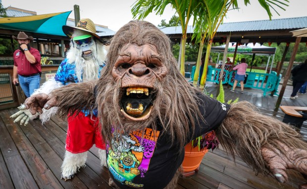 Skunk Ape and Eddie The Yeti, two the spooky creatures at Gatorland's 8th annual Gators, Ghosts and Goblins event, welcome guests Thursday, October 8, 2026. The family-friendly, daytime Halloween celebration takes place weekends through October 25. (Joe Burbank/Orlando Sentinel)