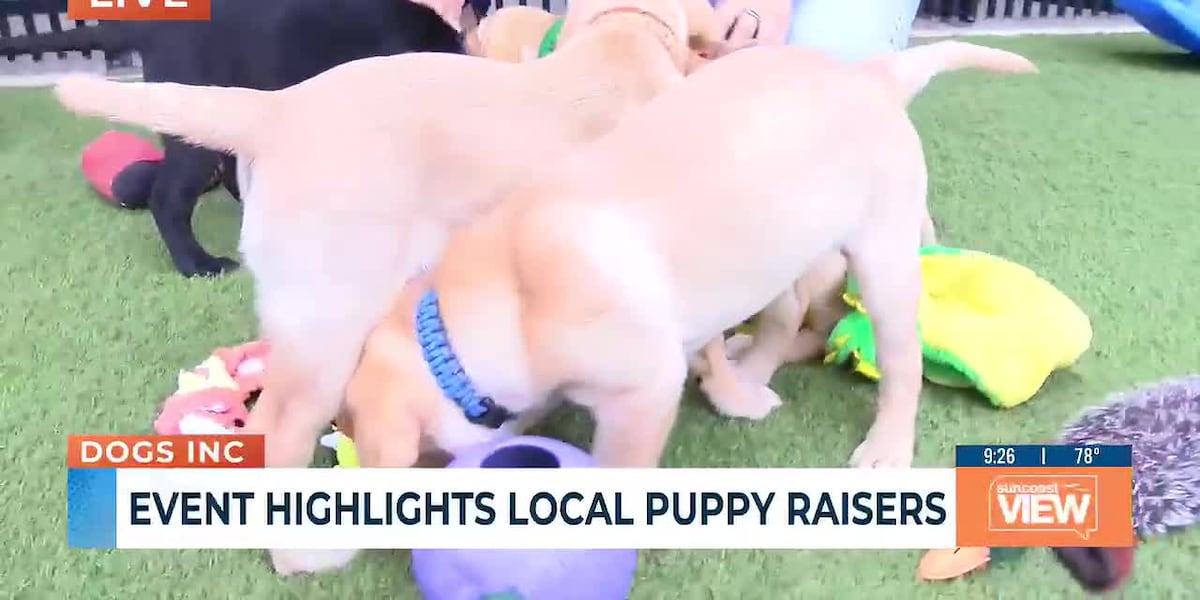 Discovery Day offers behind-the-scenes look at guide, service dog training