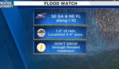A rainy week ahead, pack the umbrella!