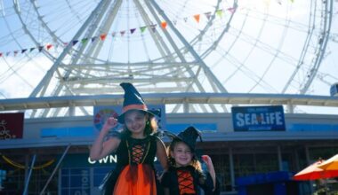Witches wanted: Orlando Eye seeks world record with costumed riders