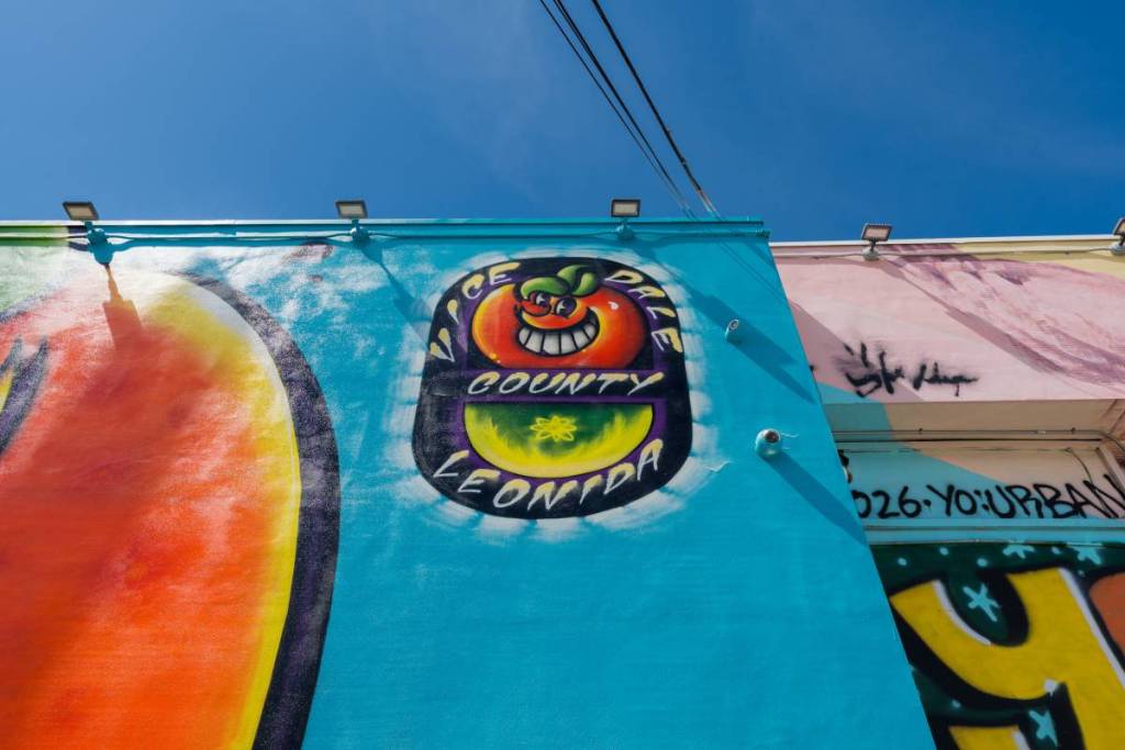 Wynwood Walls Artwork - ATOMIK