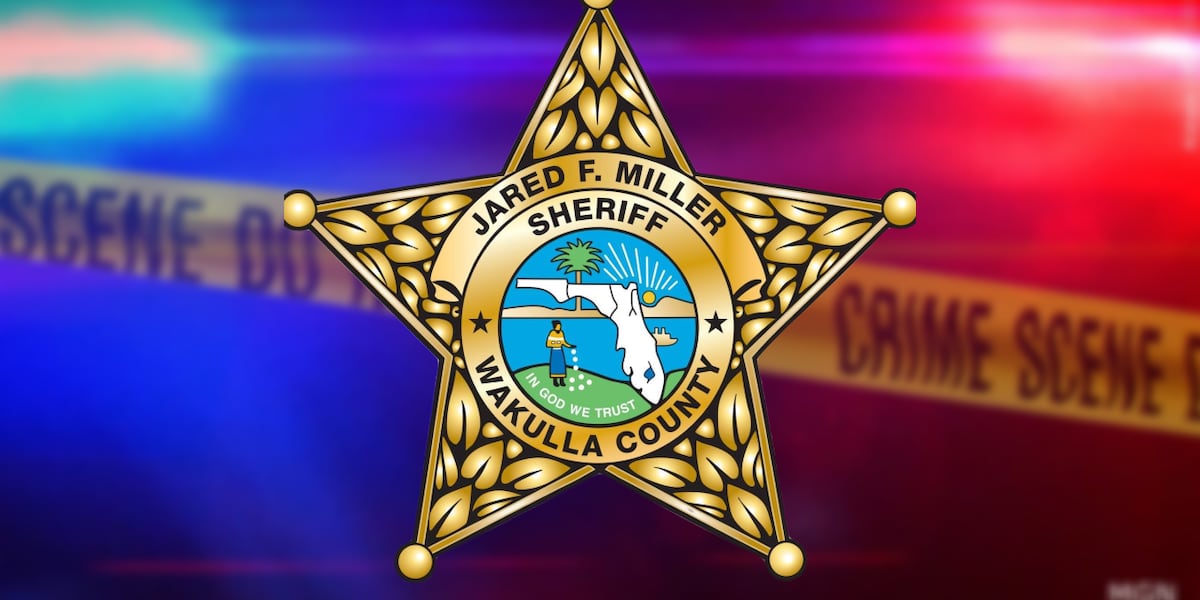 WCSO: Former Santa Claus arrested on numerous counts of possessing child sex abuse material
