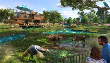 County to consider $75M funding for ZooTampa upgrades