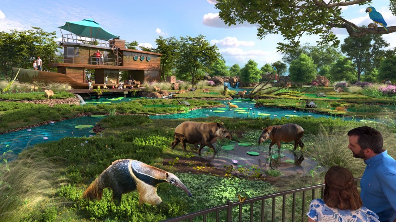 County to consider $75M funding for ZooTampa upgrades