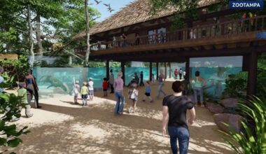 Hillsborough commissioners approve $75M ZooTampa funding