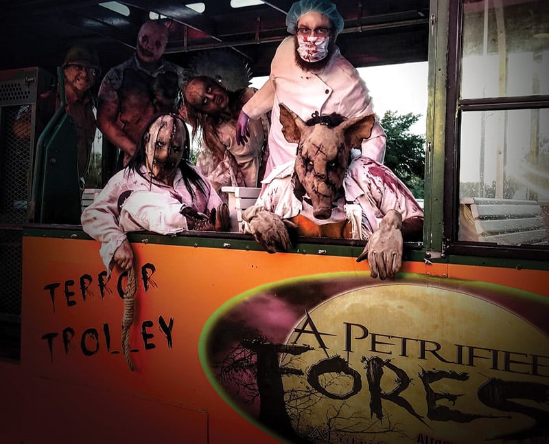 A Petrified Forest 3