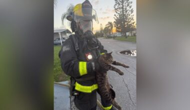 St. Lucie County firefighters respond to 2 structure fires, rescue cat