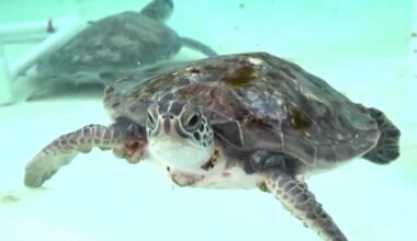 Florida Climate Week brings focus to environmental challenges and ocean research