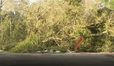 1 killed by fallen tree as Hurricane Isaias sweeps Florida Panhandle