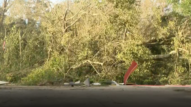 1 killed by fallen tree as Hurricane Isaias sweeps Florida Panhandle