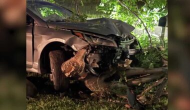 Florida driver crashed into tree, hid in closet, police say