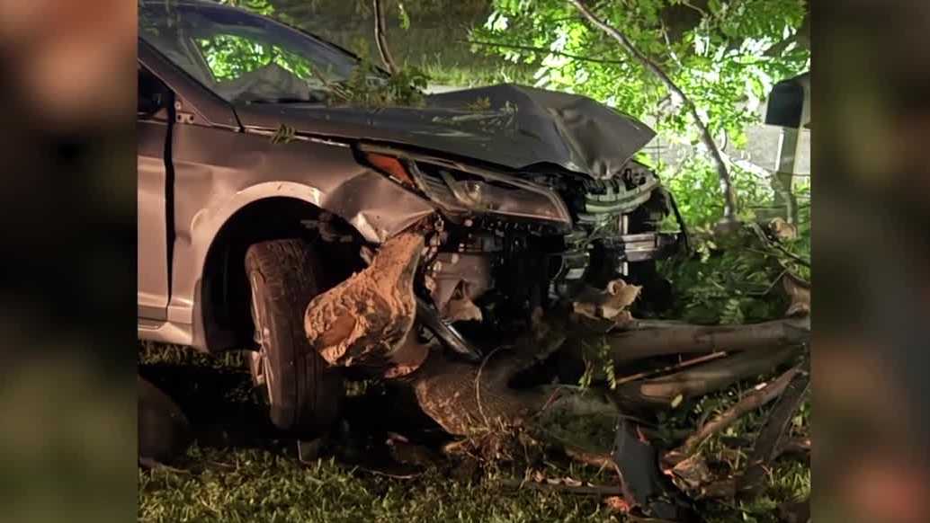 Florida driver crashed into tree, hid in closet, police say
