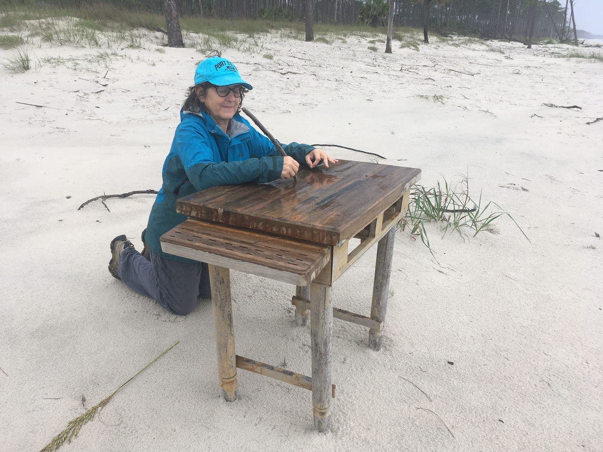 Tallahassee writerSusan Cerulean's last book is "The Call to a Wilder Wisdom," published by Apalachee Press.