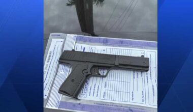 Florida woman accused of threatening neighbor's landscaper with BB gun