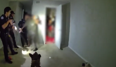 K9 helps Ocoee police find 7 juveniles during investigation