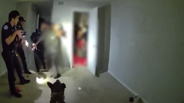 K9 helps Ocoee police find 7 juveniles during investigation