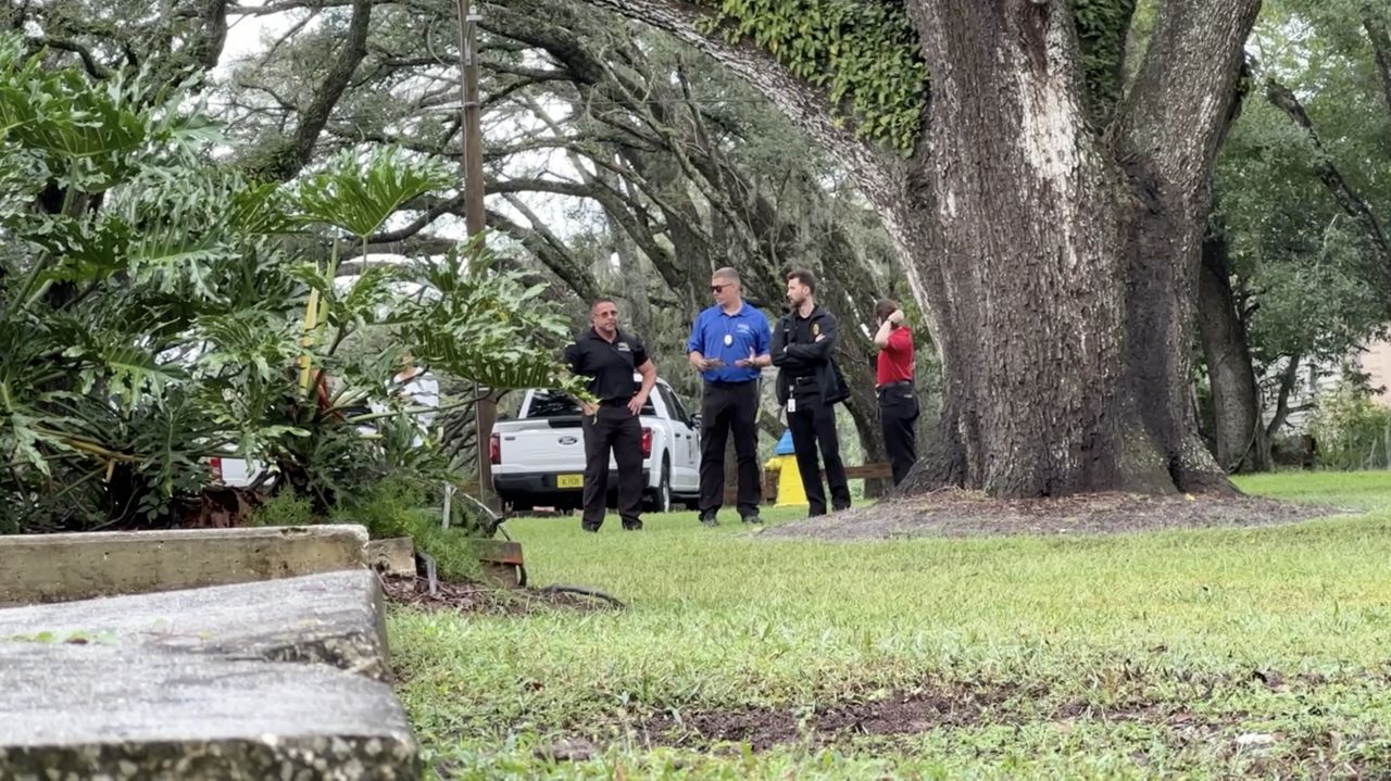 Tampa Bay dengue outbreak prompts expanded mosquito spraying