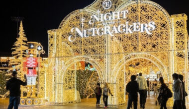 Enchant returns to St. Pete, complete with world's largest Christmas light maze