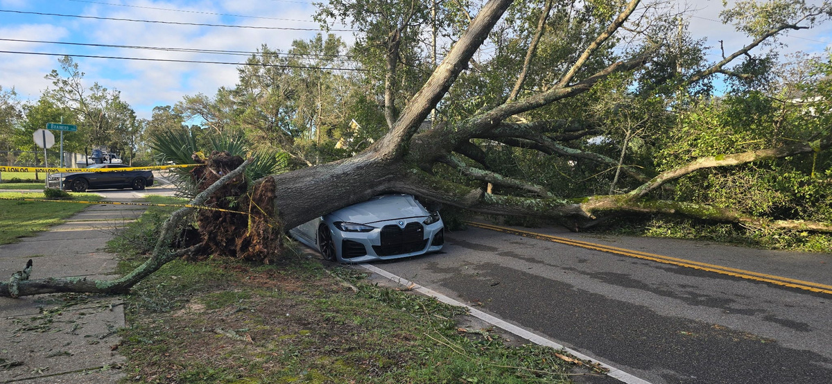 Early morning damage in Escambia County near Scenic Highway from Hurricane Isaias.