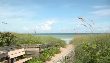 Martin County employee rescues girl from rip current at Stuart beach