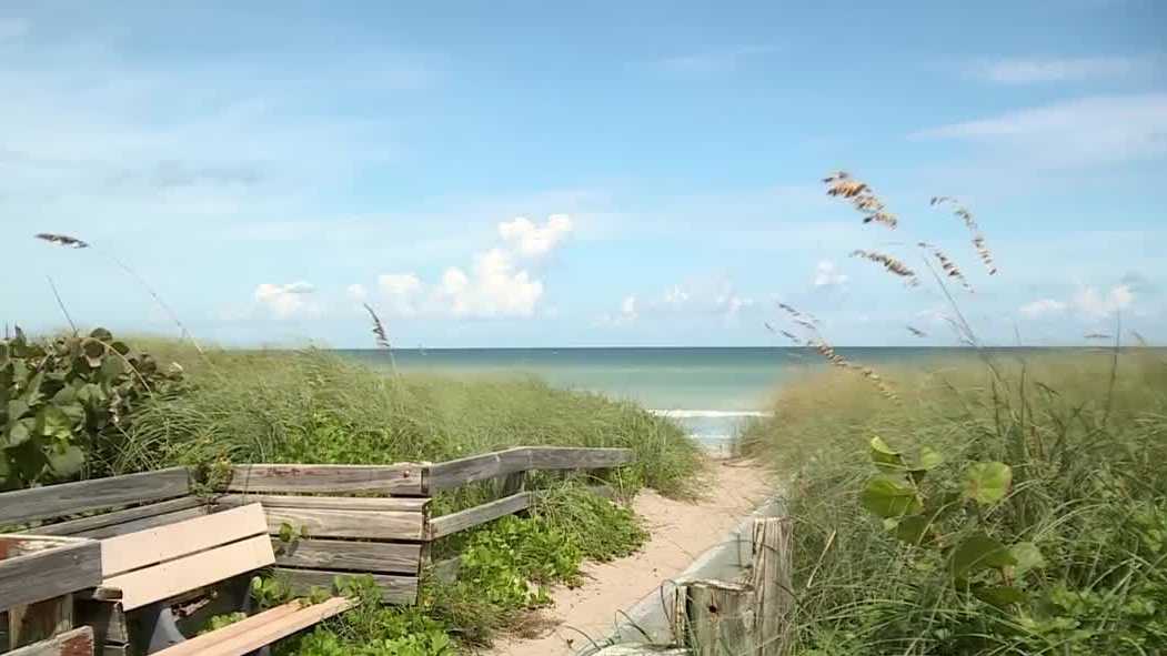 Martin County employee rescues girl from rip current at Stuart beach